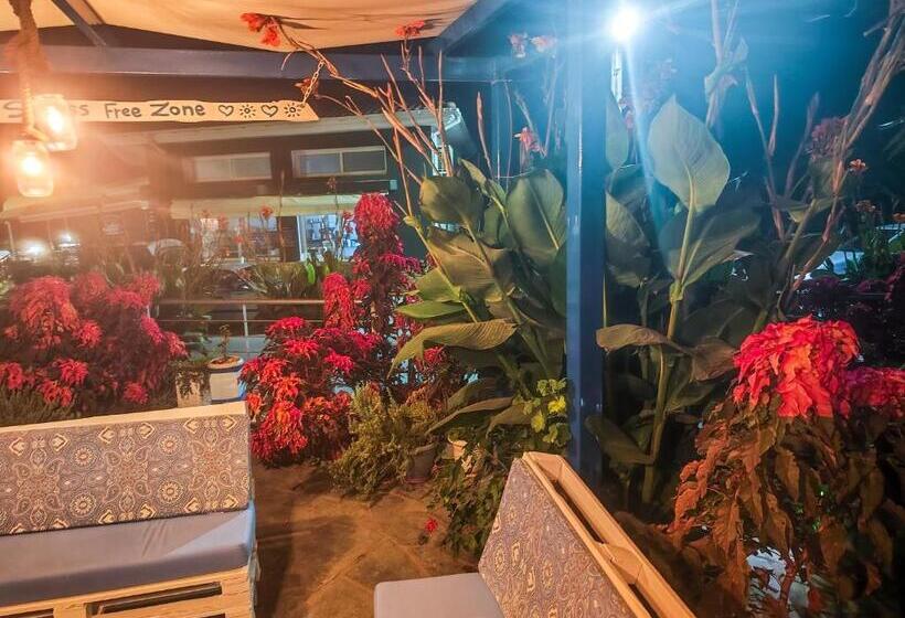 호텔 Celeste Deluxe Apartments