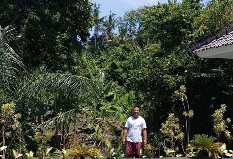 Отель Mondo Surf Village