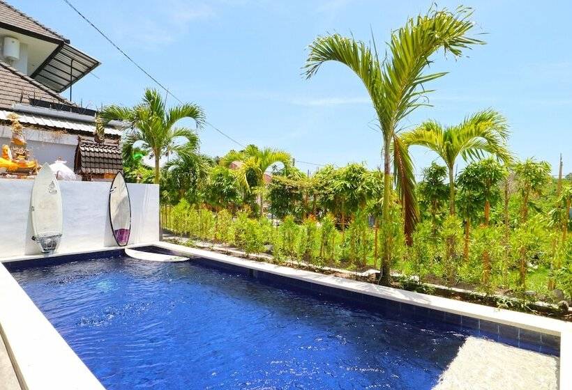 Отель Mondo Surf Village