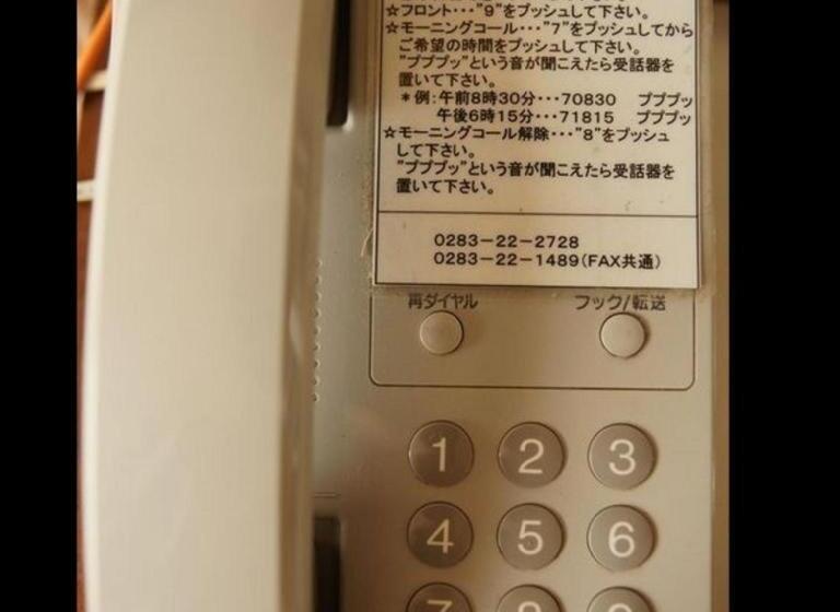 בית מלון כפרי Miyoshino Annex