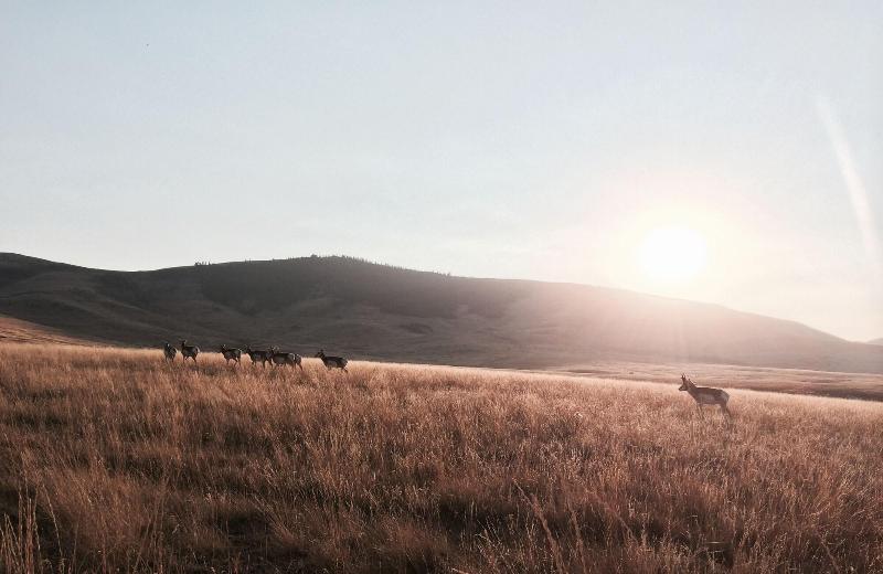 호텔 Ninepipes Lodge