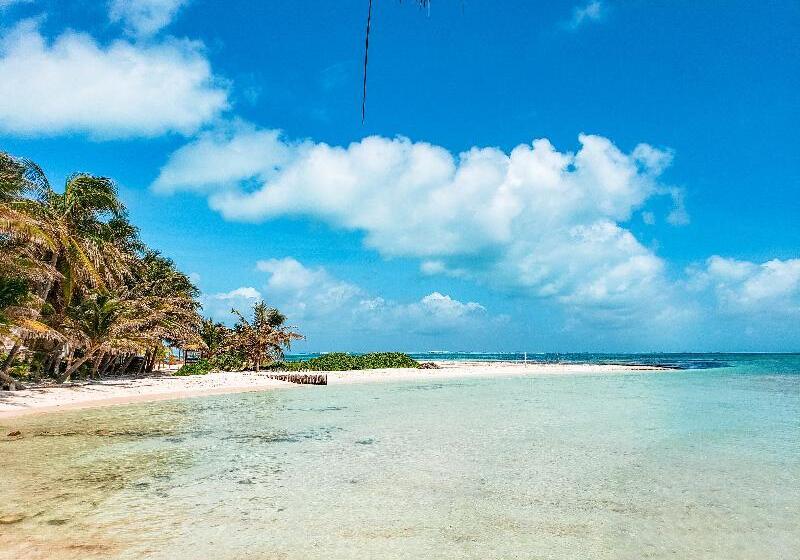 酒店 The Mint Resort Isla Mujeres