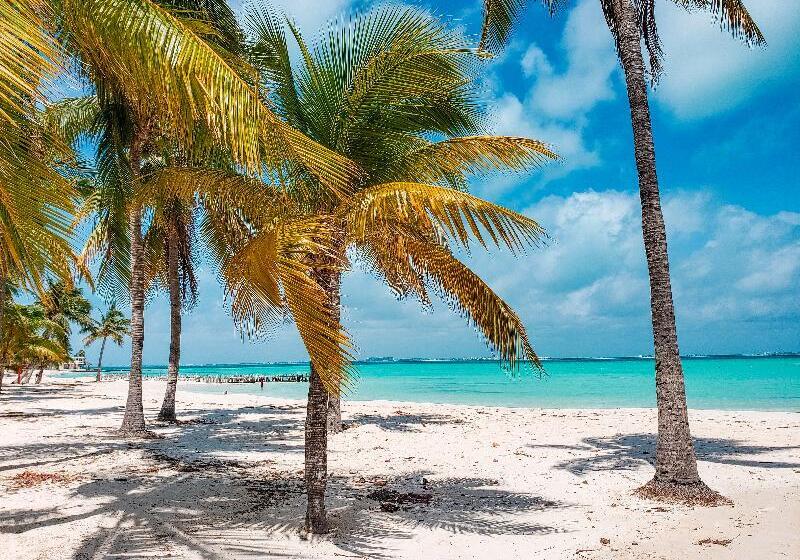 酒店 The Mint Resort Isla Mujeres