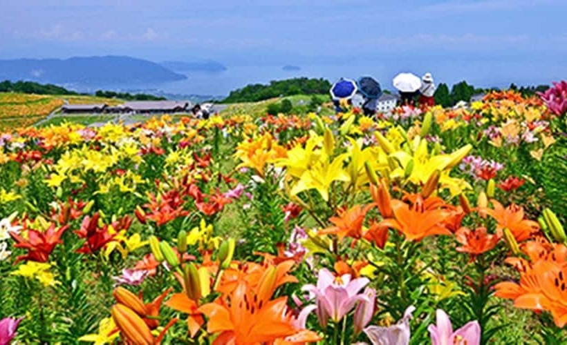 호텔 Racine Home Harie