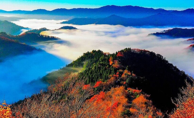 فندق Racine Home Harie