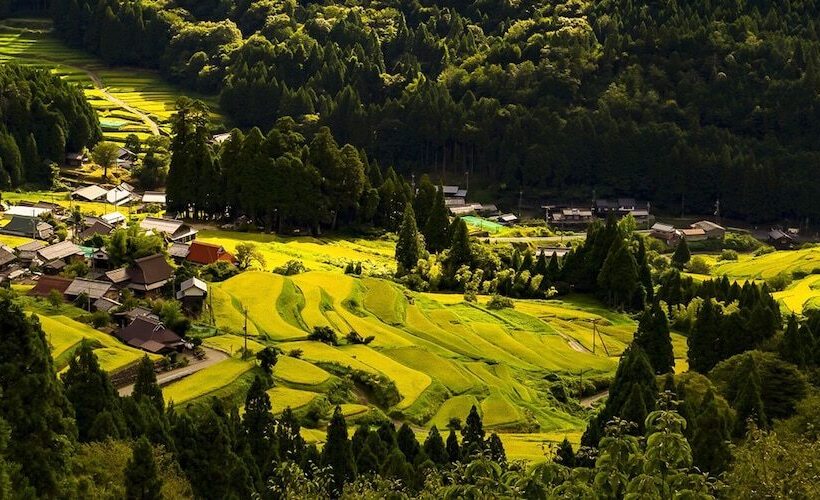 호텔 Racine Home Harie