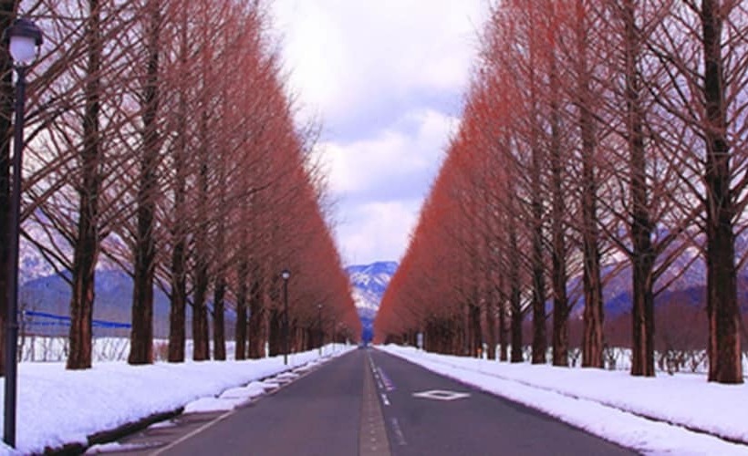 فندق Racine Home Harie