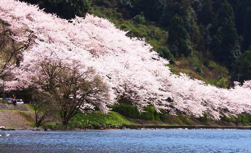 호텔 Racine Home Harie