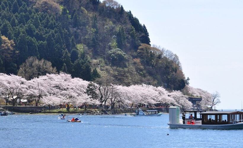 فندق Racine Home Harie