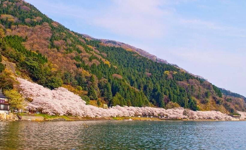 호텔 Racine Home Harie