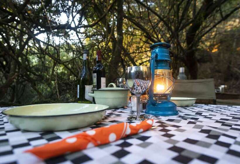 هتل Stargazer Camp  Bellevue Forest Reserve