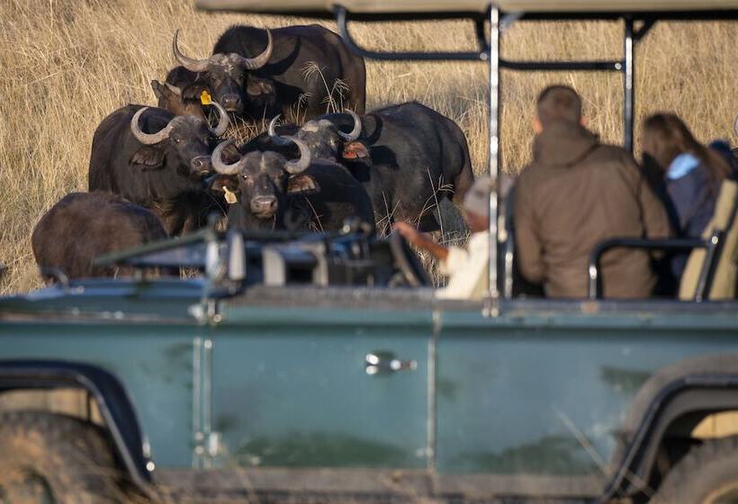 هتل Stargazer Camp  Bellevue Forest Reserve