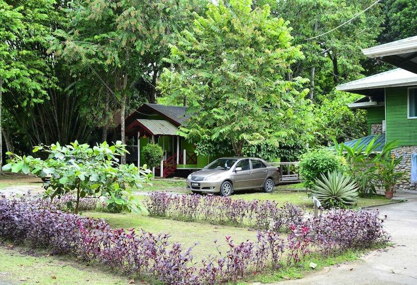 هتل Sukau Greenview Bed & Breakfast