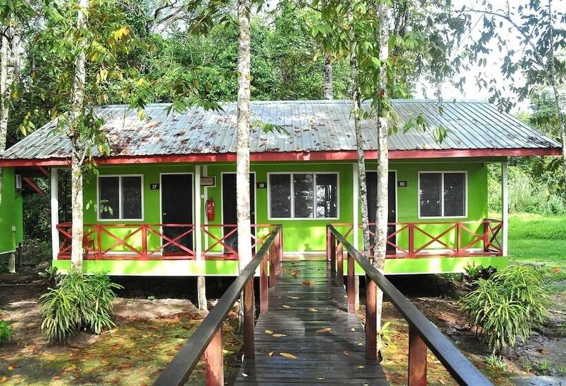 בית מלון כפרי Sukau Greenview Bed & Breakfast