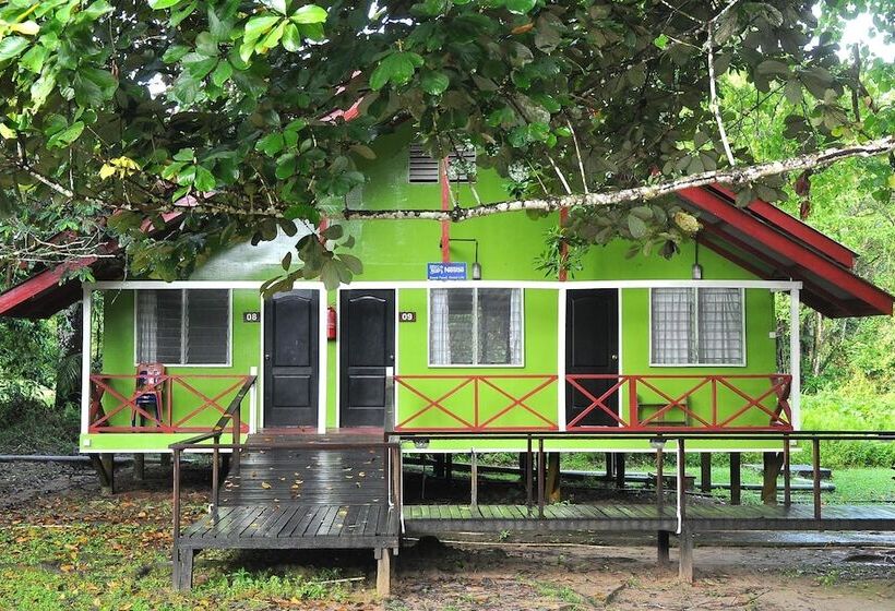 هتل Sukau Greenview Bed & Breakfast