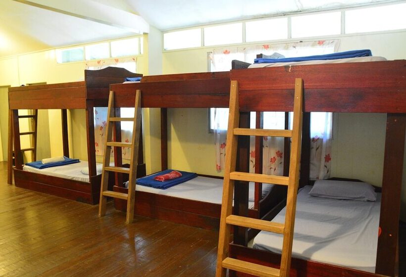 בית מלון כפרי Sukau Greenview Bed & Breakfast