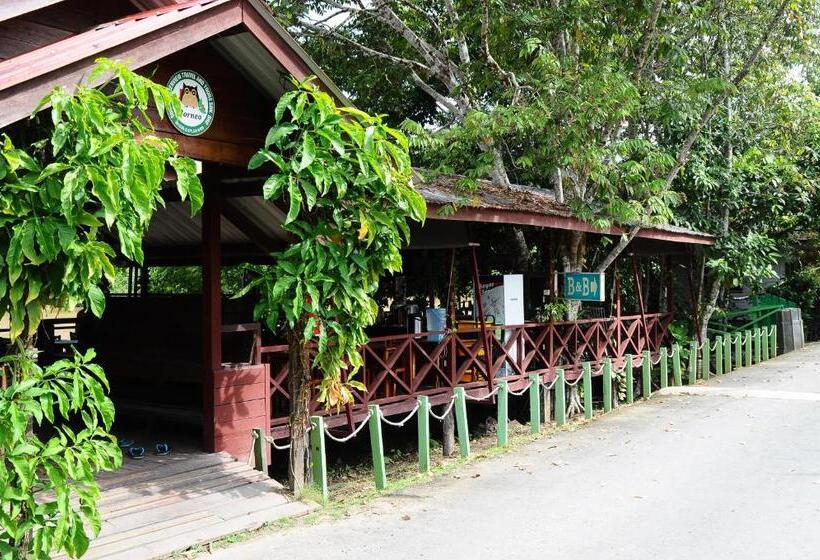 בית מלון כפרי Sukau Greenview Bed & Breakfast