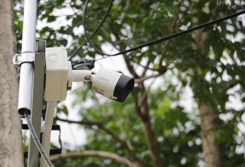 בית מלון כפרי The Money Inn