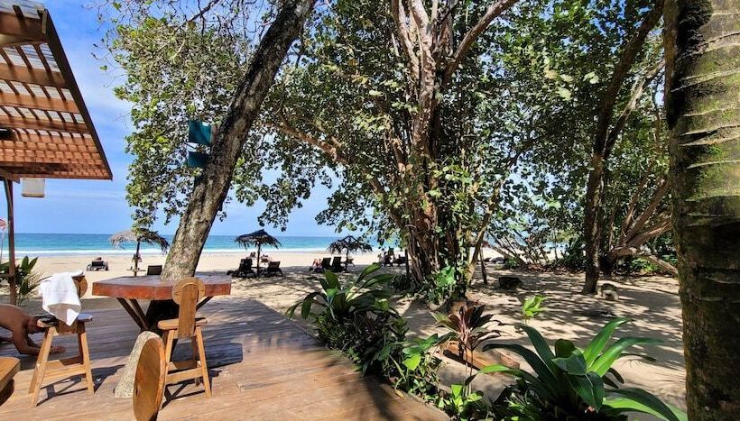 Отель The Sea Monkey