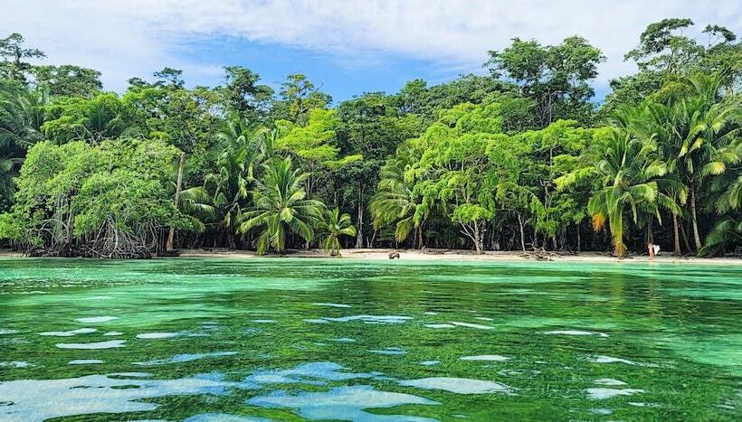 Отель The Sea Monkey