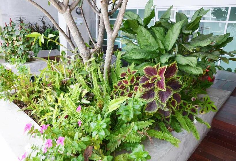 호텔 The September Salaya