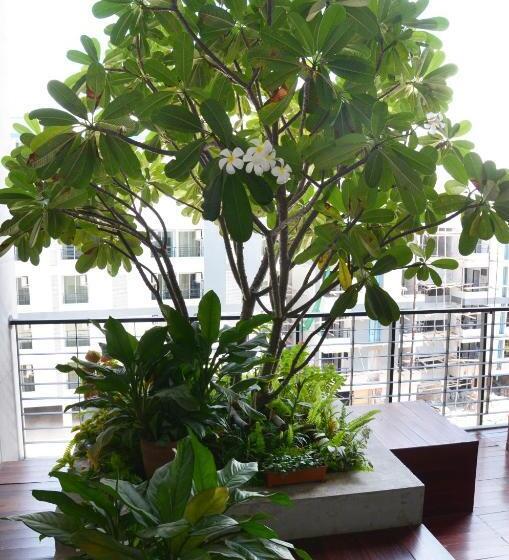 호텔 The September Salaya