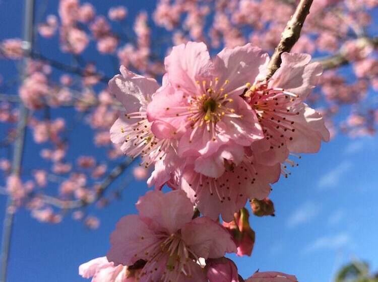 هتل Walk Cloud B&b