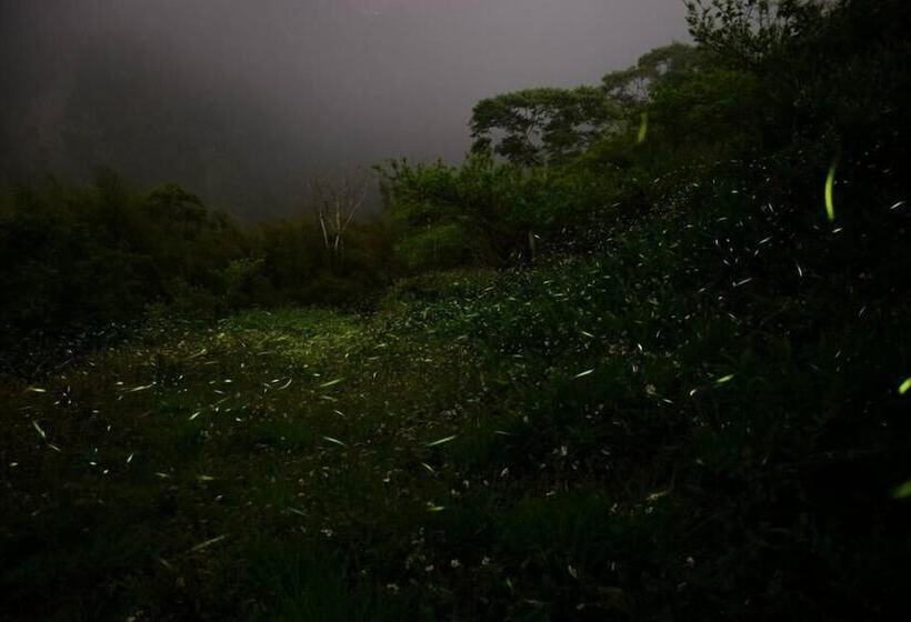 هتل Walk Cloud B&b