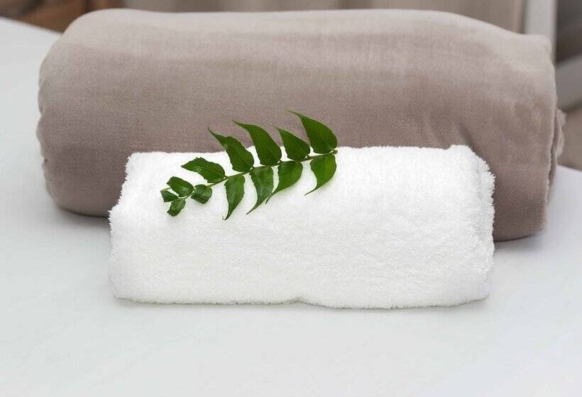 Jeffreys Bay Beach Accommodation