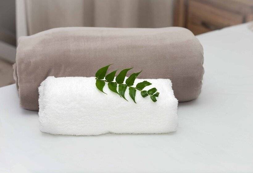 Jeffreys Bay Beach Accommodation