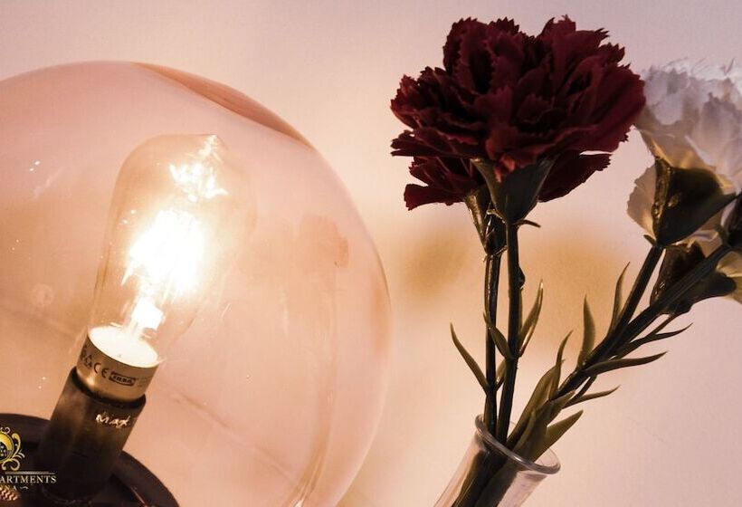 My City Apartments   Prime Location