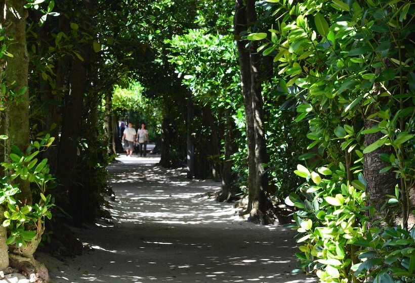 Old Private House Kaneya