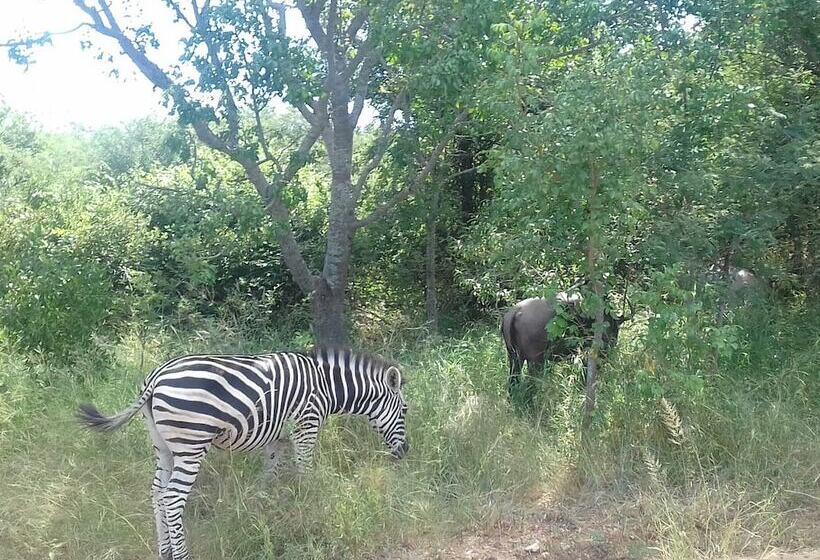 The Daniel Lo Mdaka Holiday Residence