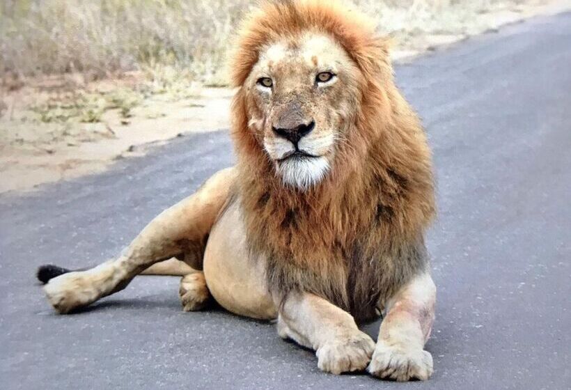 The Daniel Lo Mdaka Holiday Residence