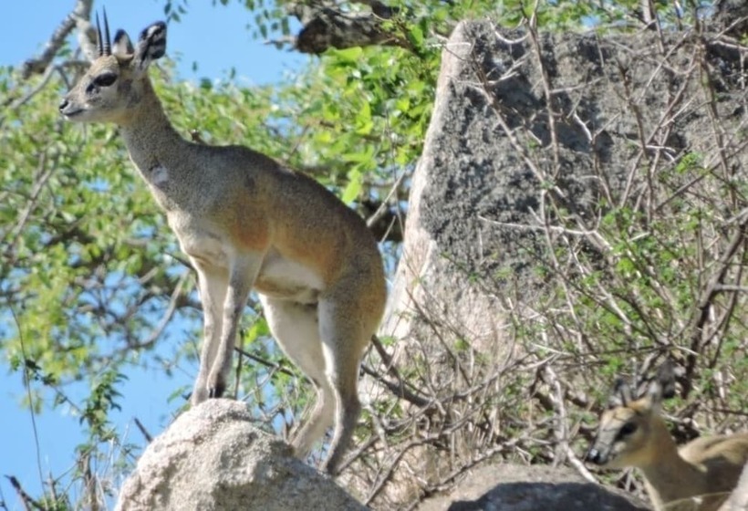 The Daniel Lo Mdaka Holiday Residence