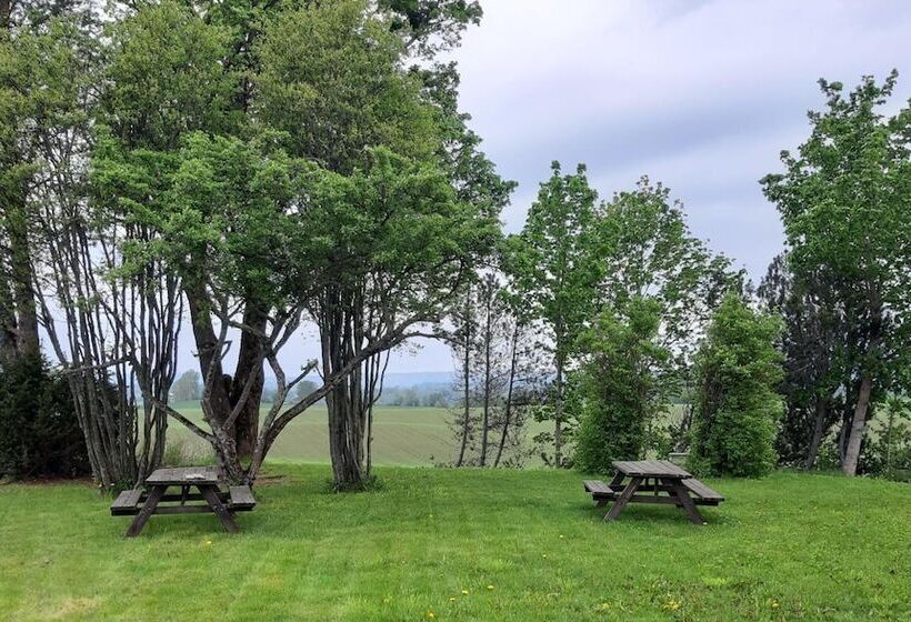 Bedder At Oslo Airport