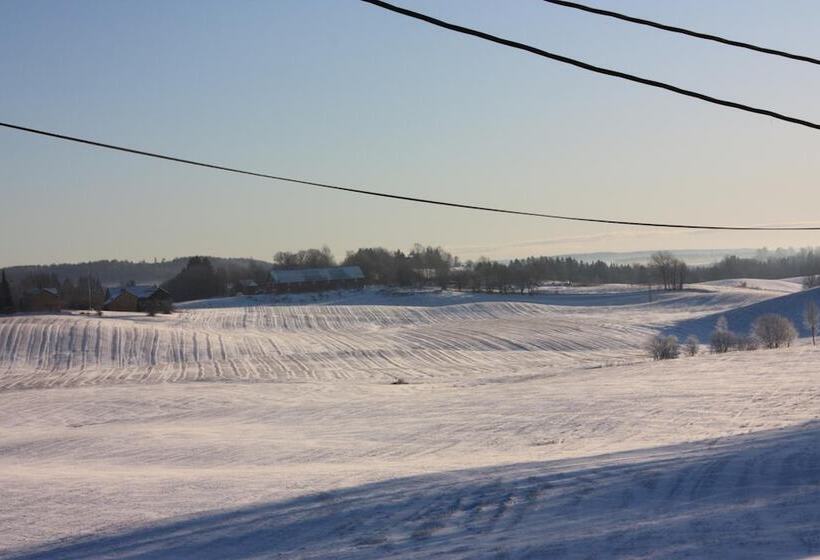 Bedder At Oslo Airport