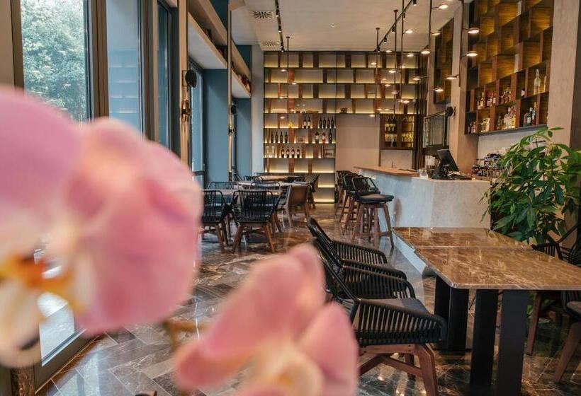 בית מלון כפרי Aya