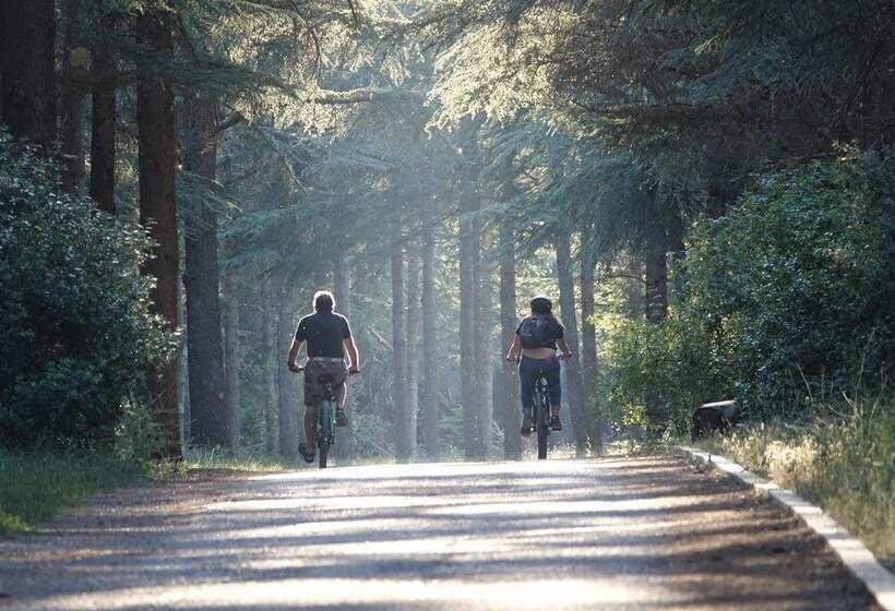 فندق Camping Le Vallon