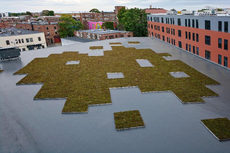 فندق Hampton Inn Salem Boston