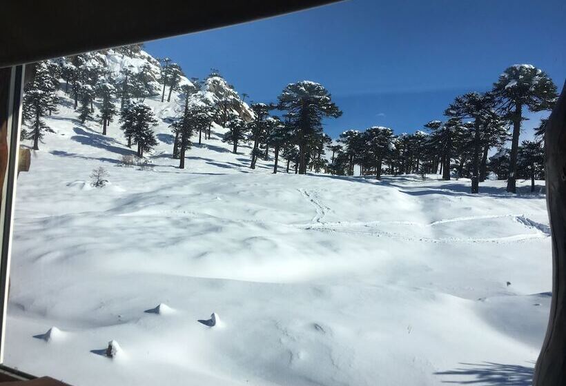 ホテル Lodge Tikilen Caviahue