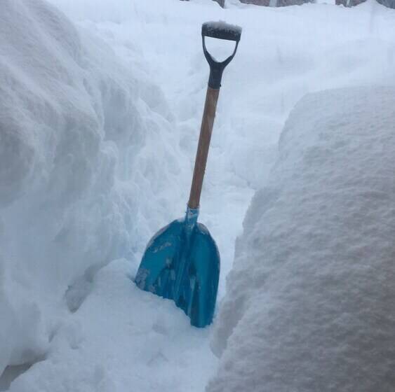 ホテル Lodge Tikilen Caviahue