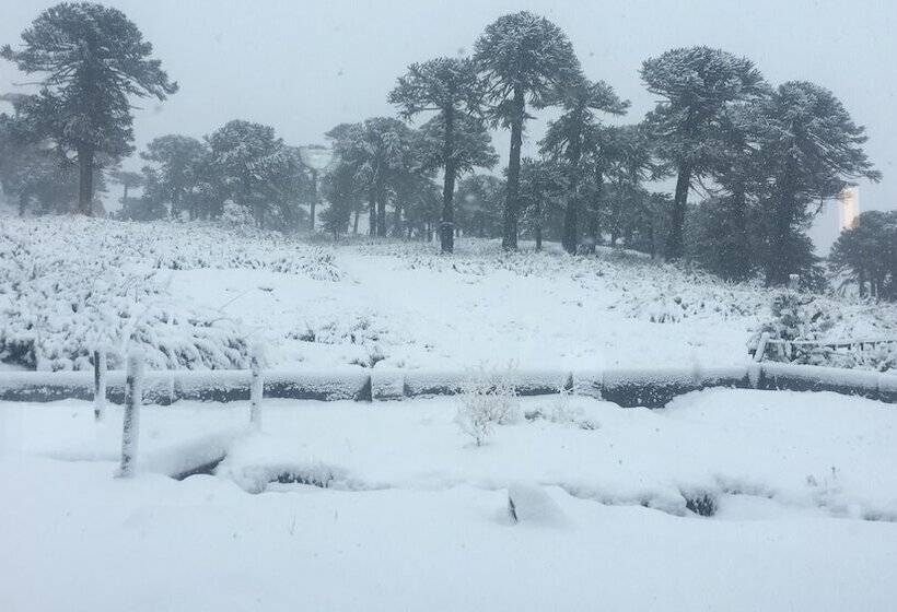 ホテル Lodge Tikilen Caviahue