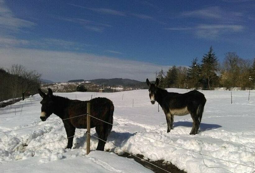 민박 Le Bouchon De Campagne