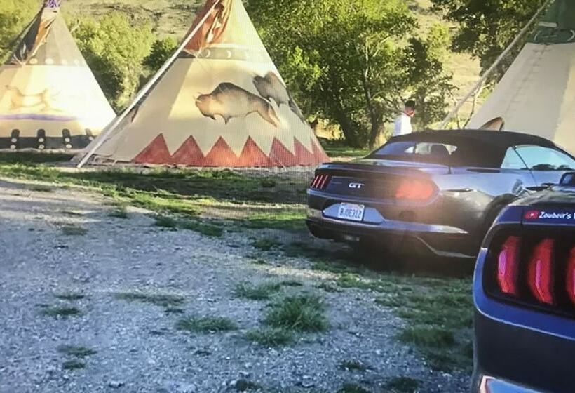 Eycat Lodging Company