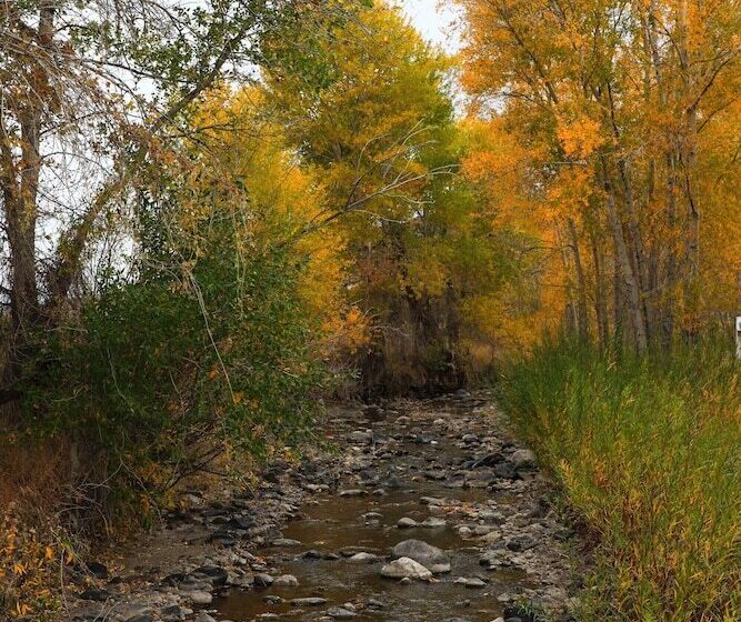 Eycat Lodging Company