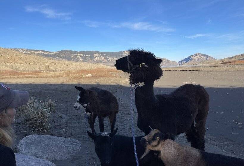 Eycat Lodging Company