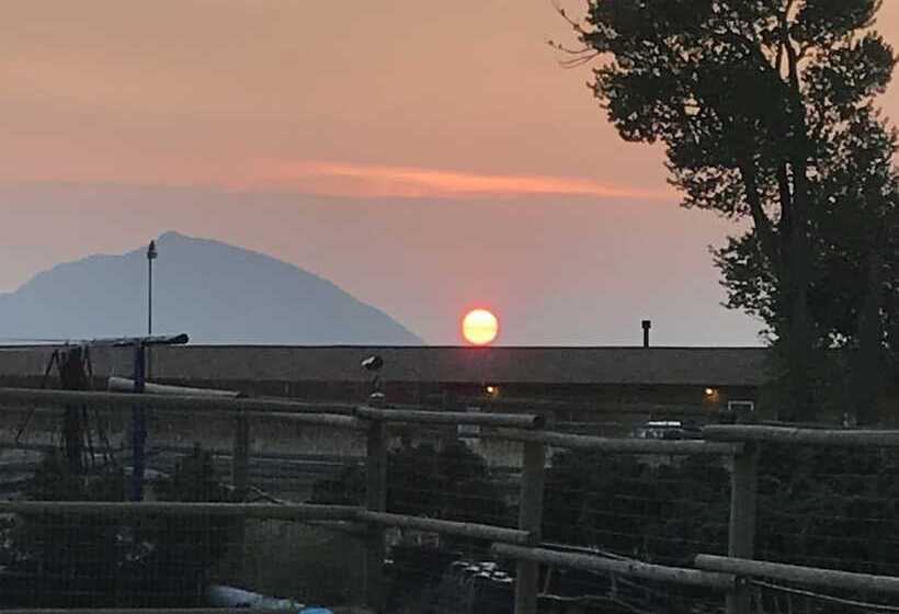 Eycat Lodging Company