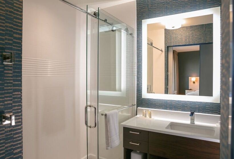 هتل Towneplace Suites Nashville Downtown/capitol District