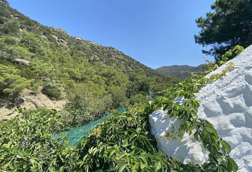Oleander S Garden Traditional Cretan Cottage